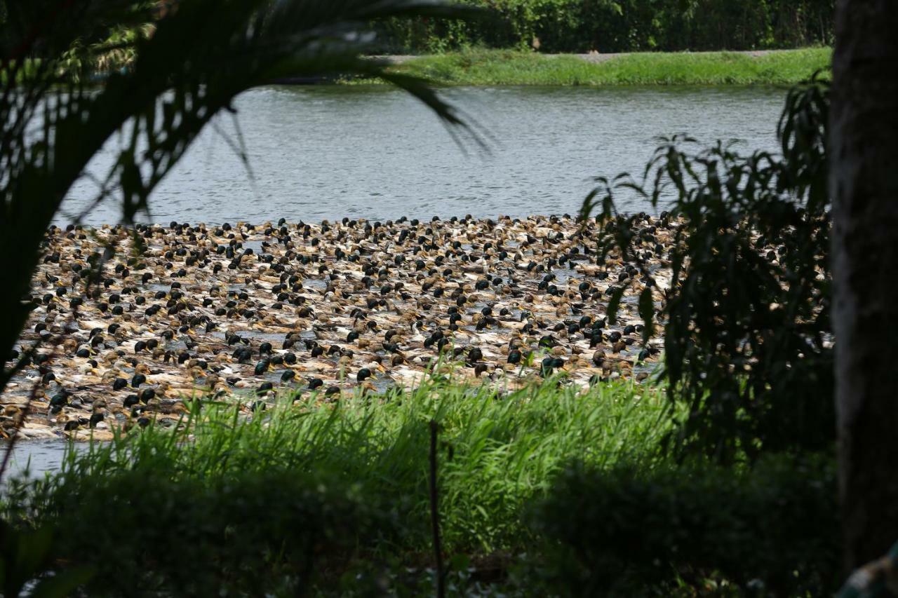 กรีน พาเลซ อยุรเวท รีสอร์ต Hotel Alappuzha ภายนอก รูปภาพ
