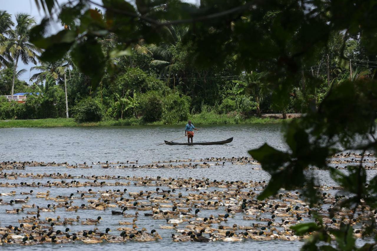 กรีน พาเลซ อยุรเวท รีสอร์ต Hotel Alappuzha ภายนอก รูปภาพ